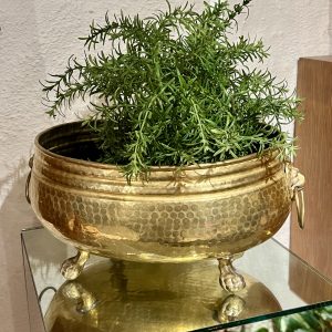 Jardiniere, mässing